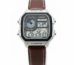 Casio AE-1200 Royale Custom Vintage