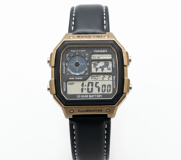 Casio AE-1200 Royale Custom Vintage