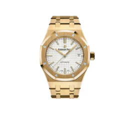 Audemars Piguet Inspired Luxury Watch