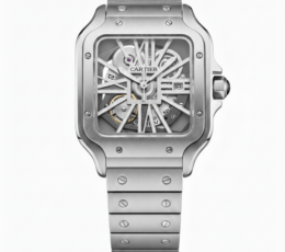 Cartier Santos Skeleton – Transparent Mechanical Dial with Brushed Steel Bracelet