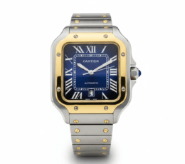 Cartier Santos – Classic Roman Dial Steel Watch