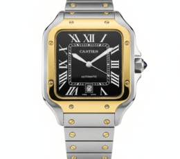 Cartier Santos – Classic Roman Dial Steel Watch
