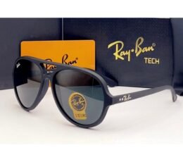 Ray-Ban Sunglasses