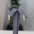 Zircon two-line earring