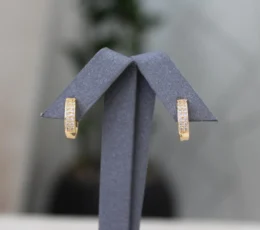 Zircon two-line earring