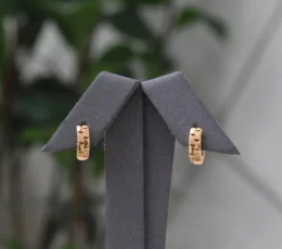 Classic Gold Alternative Earrings