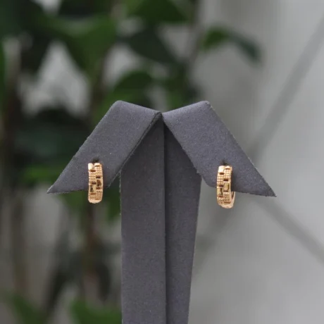 Classic Gold Alternative Earrings