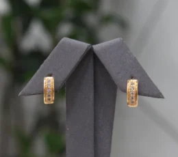 Classic Zircon Gold Alternative Earrings