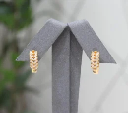 Diamond Shine Gold Plated Earrings
