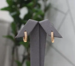 Double Zircon Gold Alternative Earrings