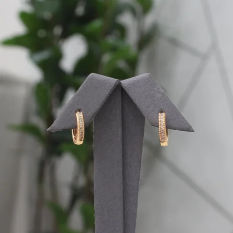 Double Zircon Gold Alternative Earrings