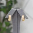Double Zircon Round Gold Alternative Earring