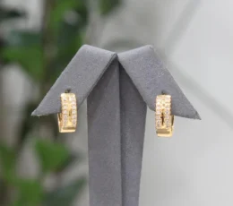 Double Zircon Round Gold Alternative Earring