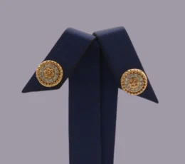 Elegant Circle Gold Alternative Earring