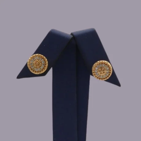 Elegant Circle Gold Alternative Earring