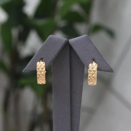 Gold Alternative Earring With A Geometric Pattern