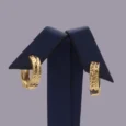 Gold Alternative Earring With A Shiny Finish