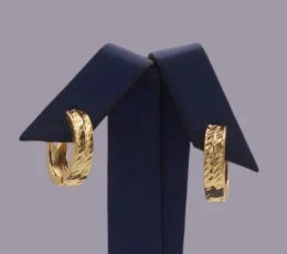 Gold Alternative Earring With A Shiny Finish