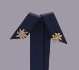 Gold Alternative Earring With Crystal Sparkle