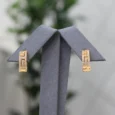 Gold Alternative Earring With Zircon Squares