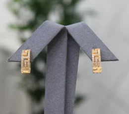 Gold Alternative Earring With Zircon Squares