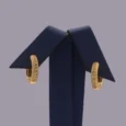Gold Alternative Earrings With Zircon Shine