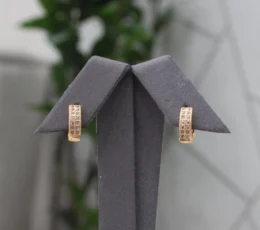 Gold Alternative Earrings Zircon Diamond