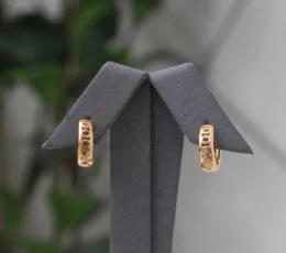 Gold-plated Glitter Alternative Earrings