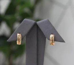 Gold Plated Alternative Mesh Earrings