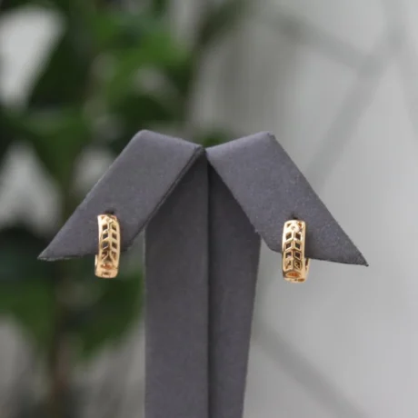 Gold Plated Alternative Mesh Earrings