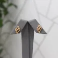 Gold Touch Alternative Earrings
