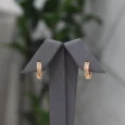 Gold Zircon Gold Alternative Earrings