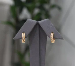Gold Zircon Gold Alternative Earrings