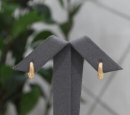 Nawaem Gold Alternative Earring