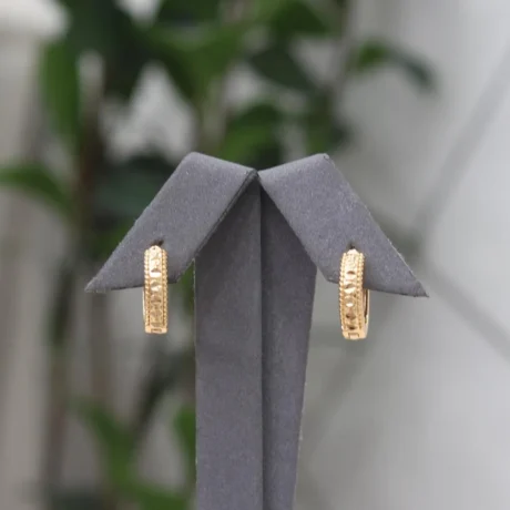 Noor Gold Alternative Earring