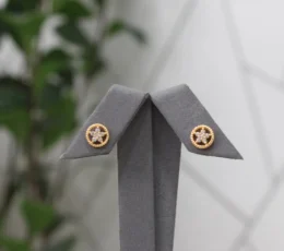 Rose Gold Alternative Earrings
