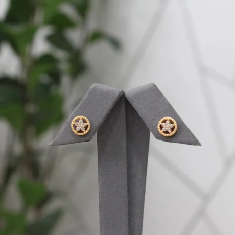 Rose Gold Alternative Earrings