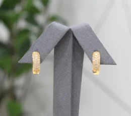 Round Gold Alternative Earring With Zircon Stones