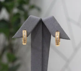 Royal Zircon Gold Alternative Earrings