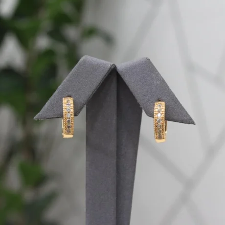 Royal Zircon Gold Alternative Earrings