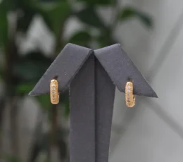 Smooth Zircon Gold Alternative Earring