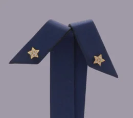 Star Gold Alternative Earring