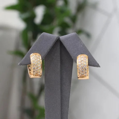 Wide Gold-plated Alternative Earrings Studded With Zircon