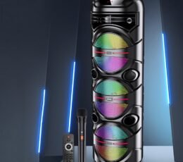 Portable Bluetooth Party Speaker with Wireless Mic & RGB Lights