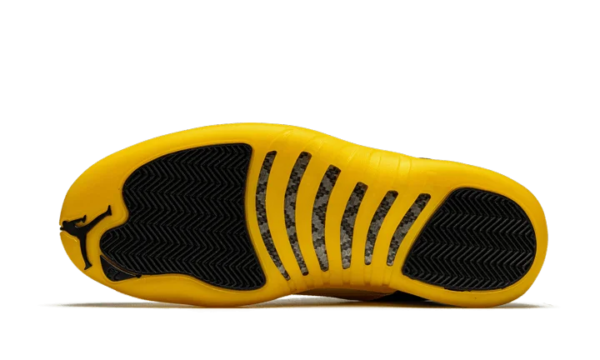 Black University Gold - Image 5