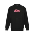 Top rated Dior Hoodie