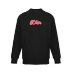 Top rated Dior Hoodie