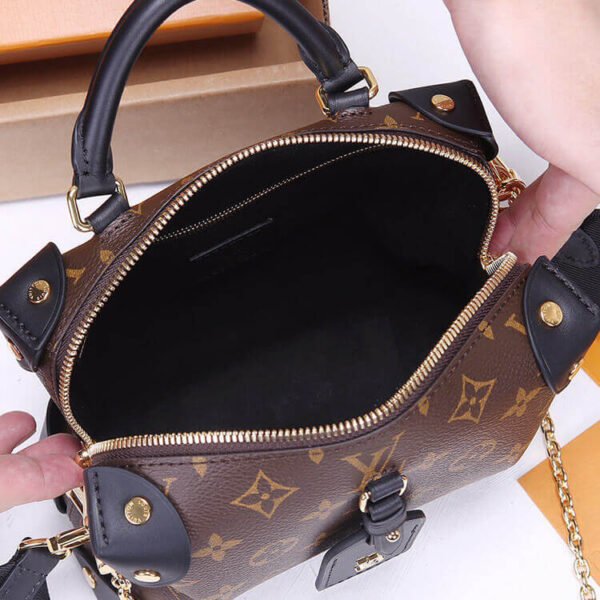 LV Petite Malle Souple Handbag - Image 7