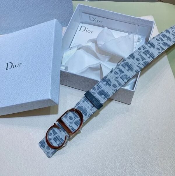 High Quilty Dior Belt - Image 5