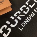 Best Burberry Hoodie - Image 8